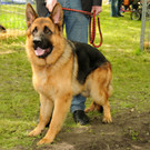 Tierfest H__chst 25-05-2013 4_jpg-1369507017