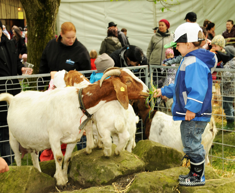 Tierfest H__chst 25-05-2013 10_jpg-1369507023