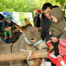 Tierfest H__chst 25-05-2013 13_jpg-1369507030