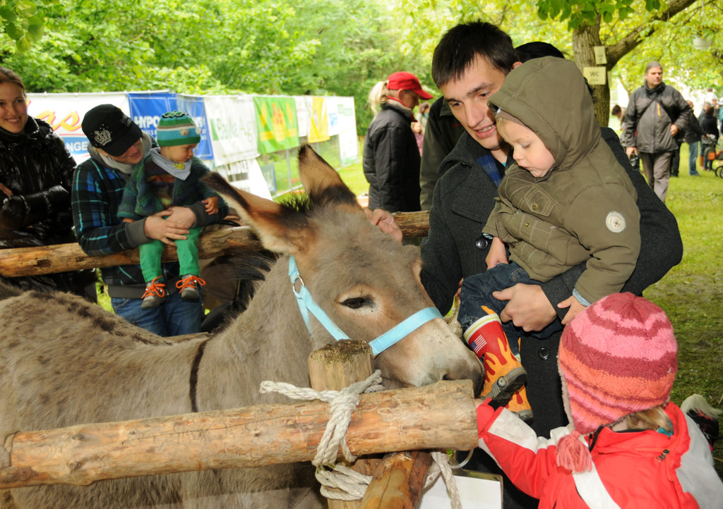 Tierfest H__chst 25-05-2013 13_jpg-1369507030