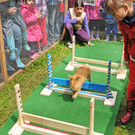 Tierfest H__chst 25-05-2013 23_jpg-1369507039