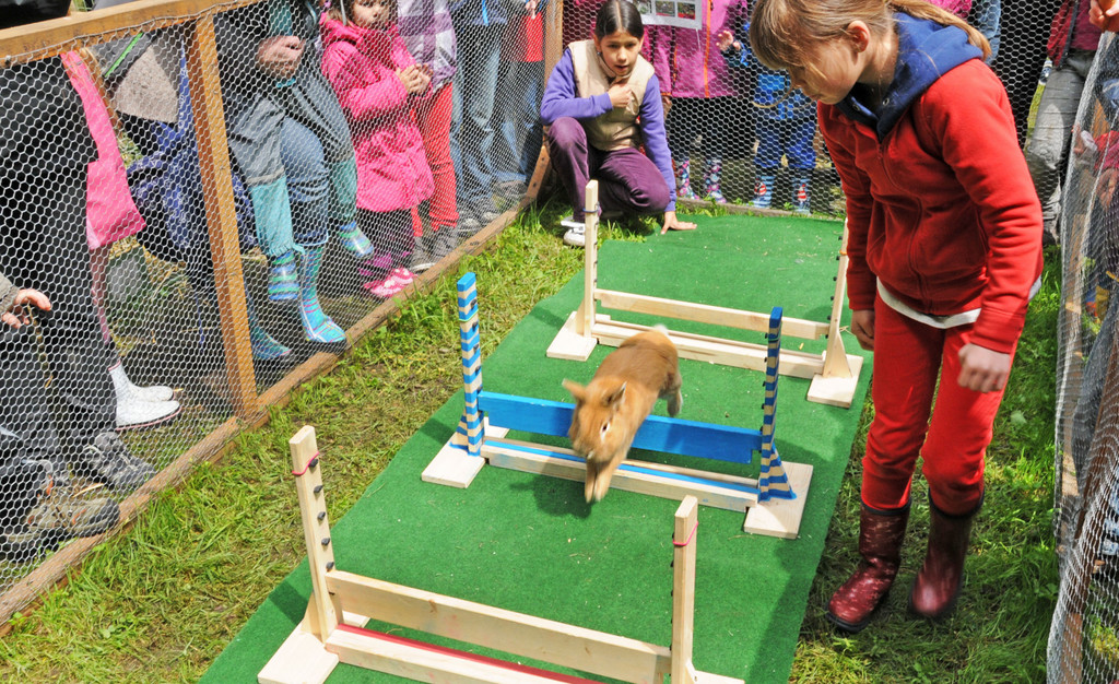 Tierfest H__chst 25-05-2013 23_jpg-1369507039