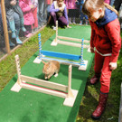 Tierfest H__chst 25-05-2013 25_jpg-1369507049