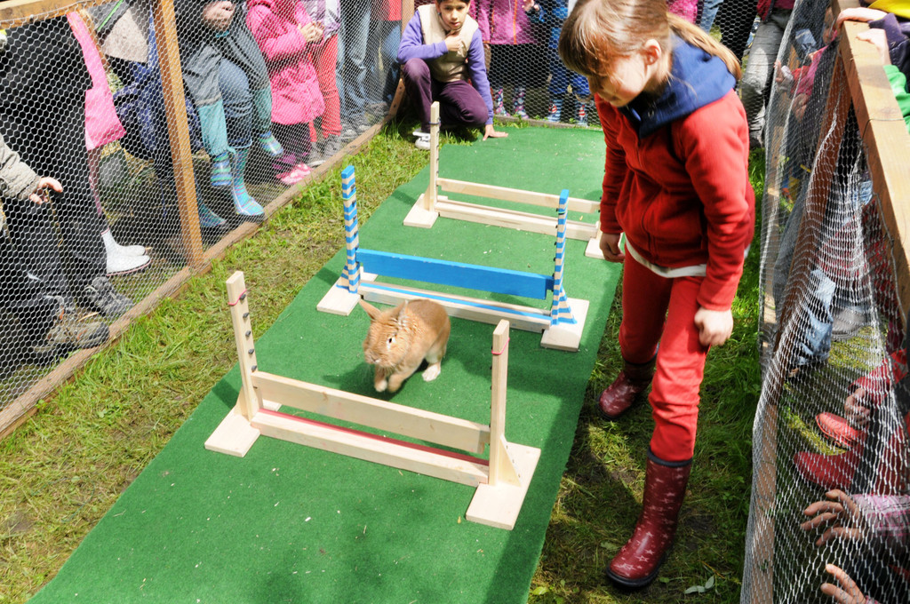 Tierfest H__chst 25-05-2013 25_jpg-1369507049