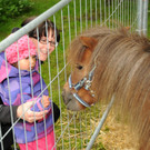 Tierfest H__chst 25-05-2013 44_jpg-1369507082