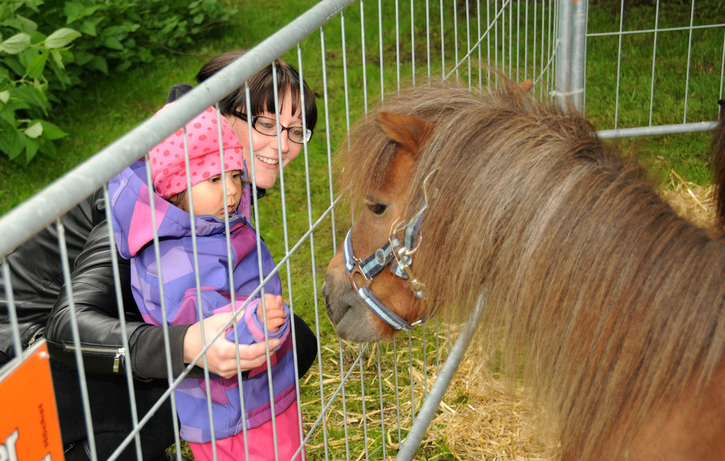 Tierfest H__chst 25-05-2013 44_jpg-1369507082