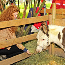 Tierfest H__chst 25-05-2013 46_jpg-1369507091