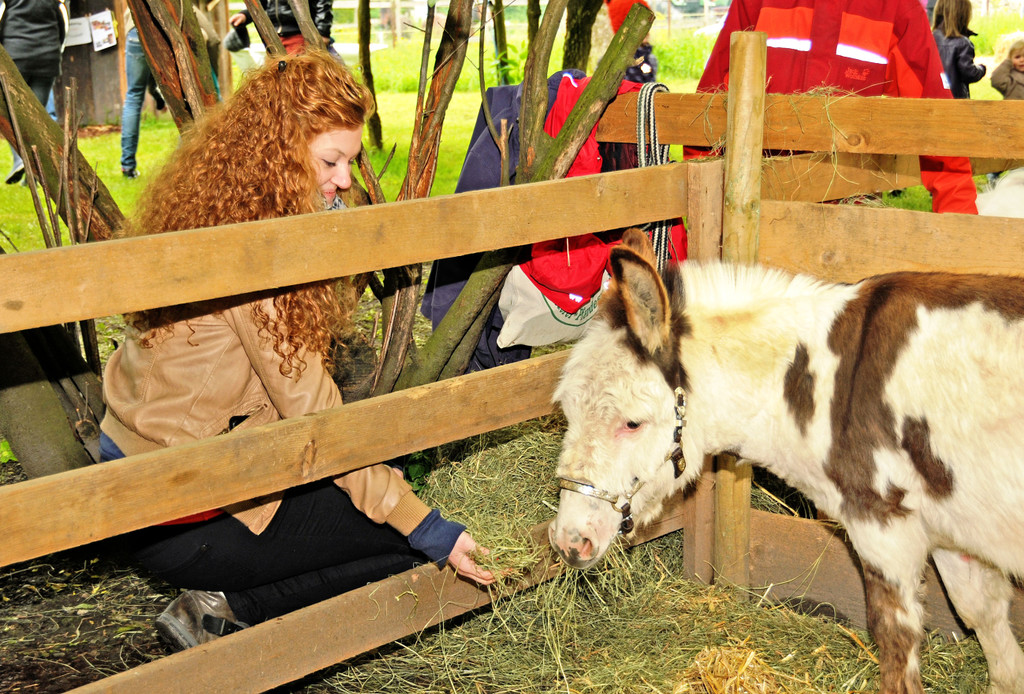 Tierfest H__chst 25-05-2013 46_jpg-1369507091