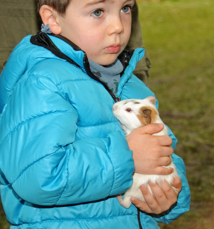 Tierfest H__chst 25-05-2013 97_jpg-1369507165
