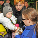 Tierfest H__chst 25-05-2013 100_jpg-1369507172
