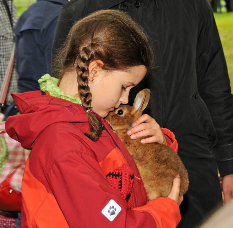 Tierfest H__chst 25-05-2013 102_jpg-1369507175