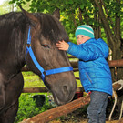 Tierfest H__chst 25-05-2013 118_jpg-1369507196