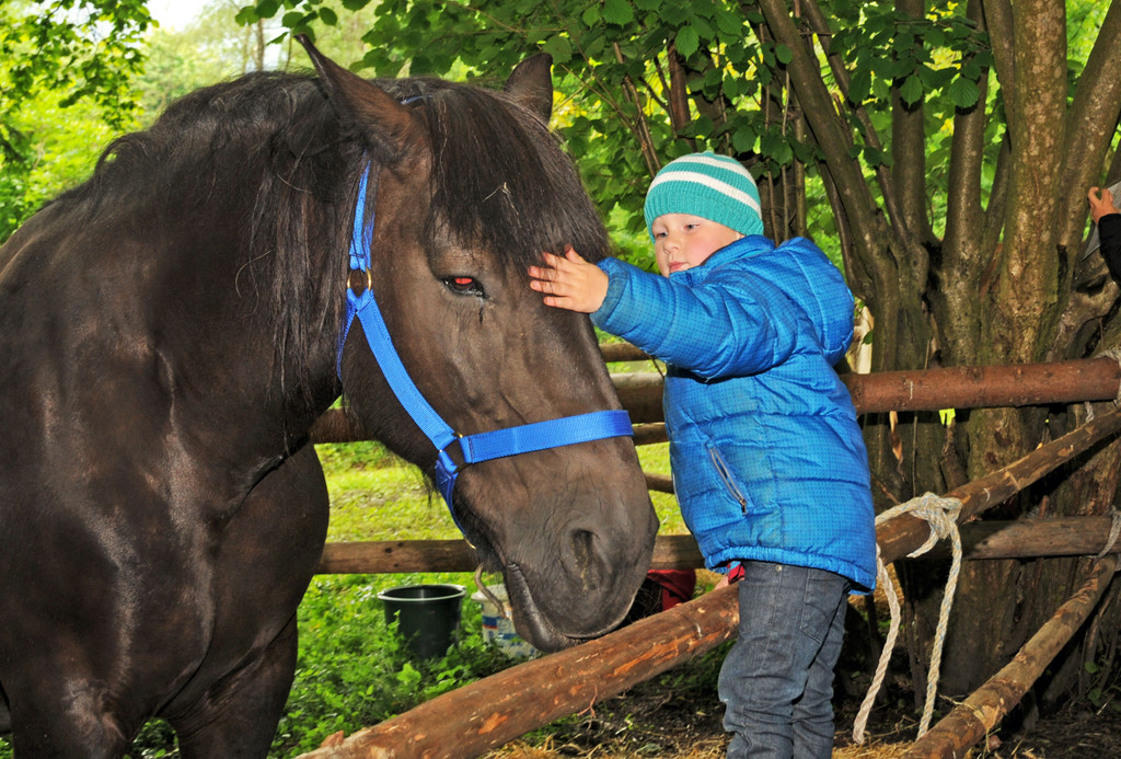 Tierfest H__chst 25-05-2013 118_jpg-1369507196