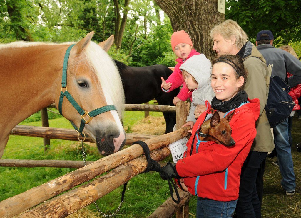 Tierfest H__chst 25-05-2013 121_jpg-1369507203