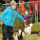 Tierfest H__chst 25-05-2013 124_jpg-1369507211