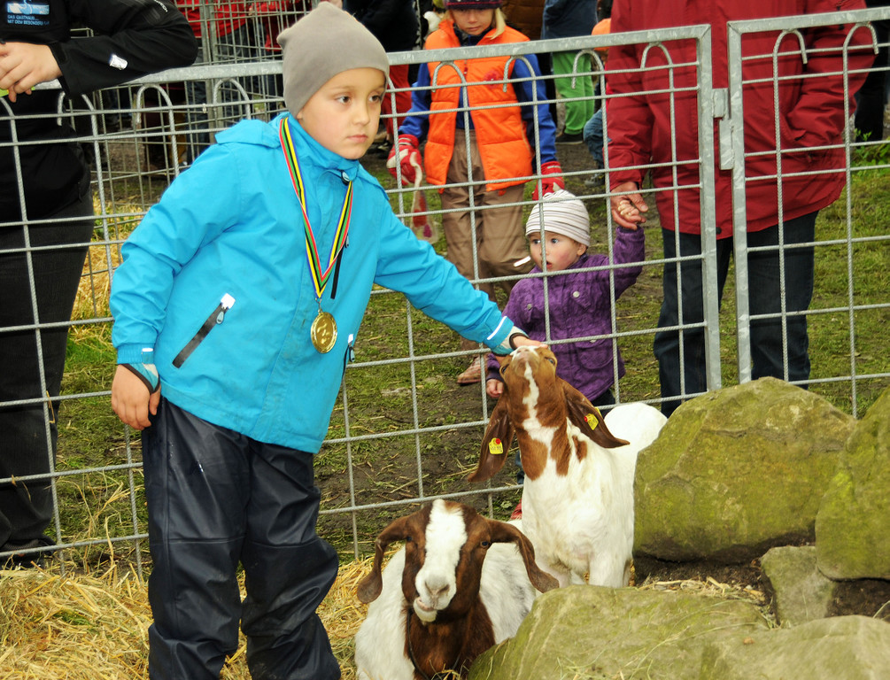 Tierfest H__chst 25-05-2013 124_jpg-1369507211