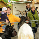 Tierfest H__chst 25-05-2013 127_jpg-1369507217