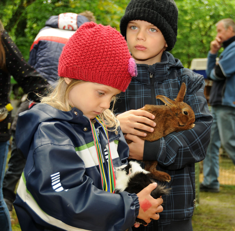 Tierfest H__chst 25-05-2013 159_jpg-1369507273