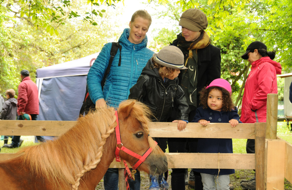 Tierfest H__chst 25-05-2013 177_jpg-1369507298