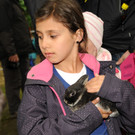 Tierfest H__chst 25-05-2013 244_jpg-1369507397