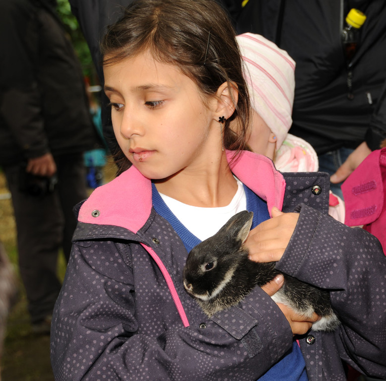 Tierfest H__chst 25-05-2013 244_jpg-1369507397