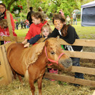 Tierfest H__chst 25-05-2013 253_jpg-1369507413