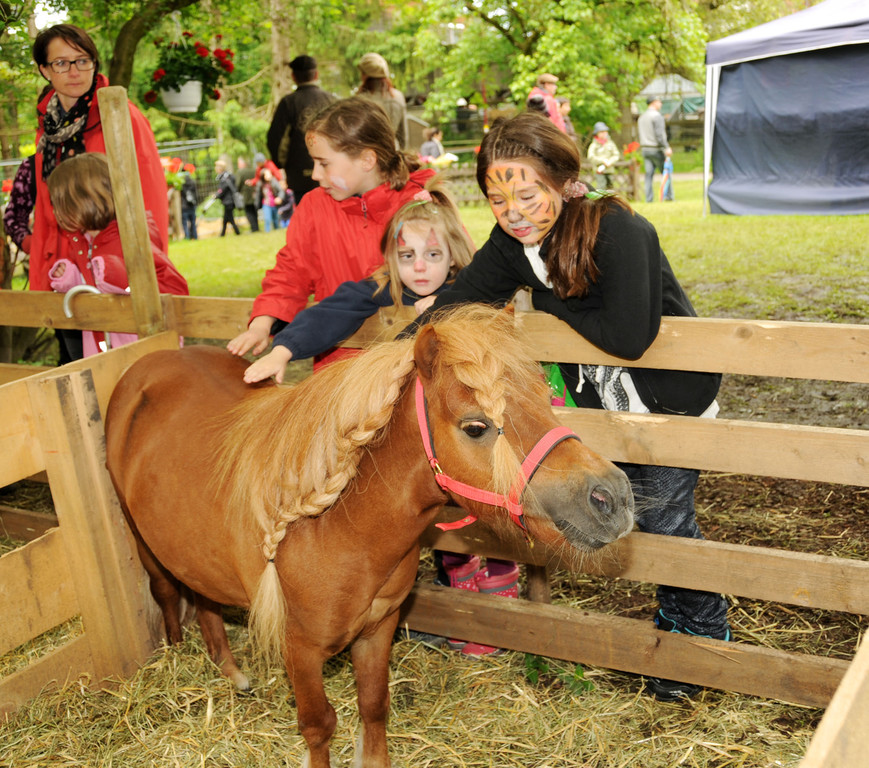 Tierfest H__chst 25-05-2013 253_jpg-1369507413