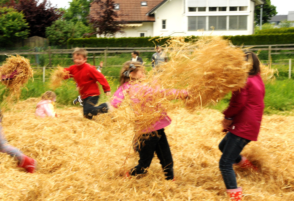 Tierfest H__chst 25-05-2013 265_jpg-1369507445