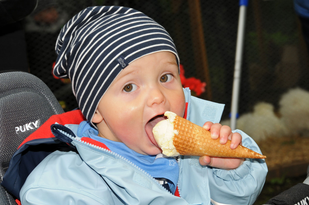 Tierfest H__chst 25-05-2013 269_jpg-1369507457