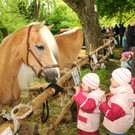 Tierfest H__chst 25-05-2013 272_jpg-1369507471