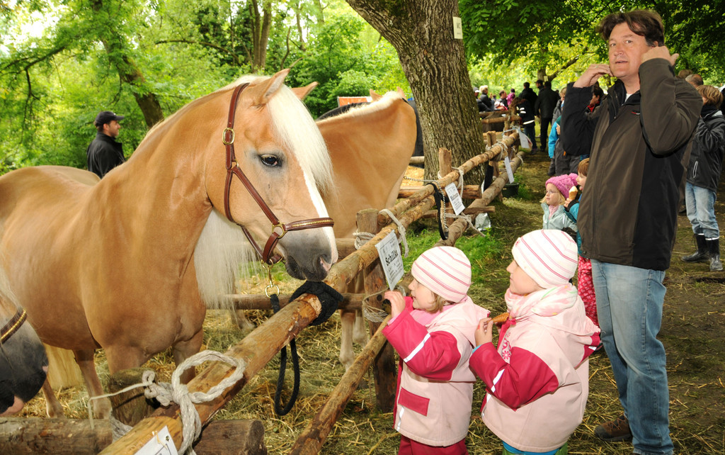 Tierfest H__chst 25-05-2013 272_jpg-1369507471