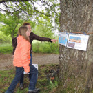 DSCN2785_JPG-1369507881