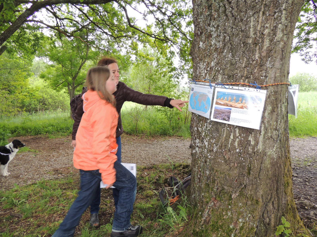 DSCN2785_JPG-1369507881