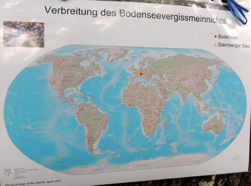 DSCN2776_JPG-1369507865