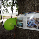 DSCN2778_JPG-1369507868