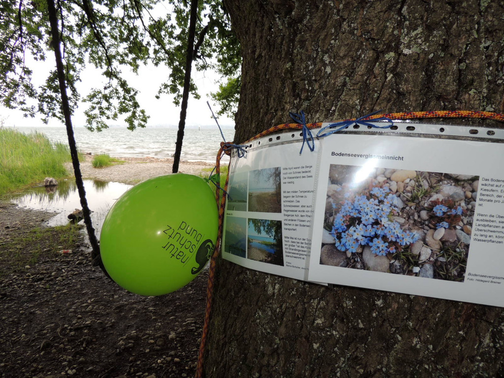 DSCN2778_JPG-1369507868