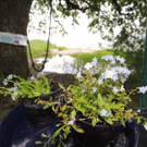 DSCN2782_JPG-1369507873