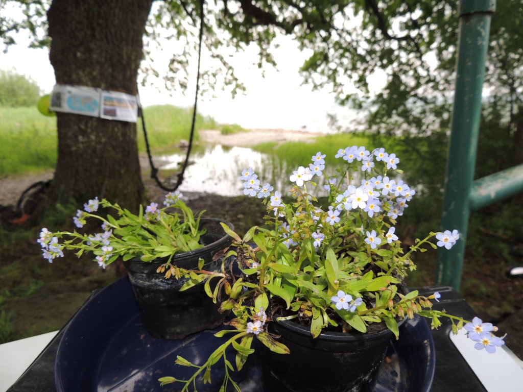 DSCN2782_JPG-1369507873