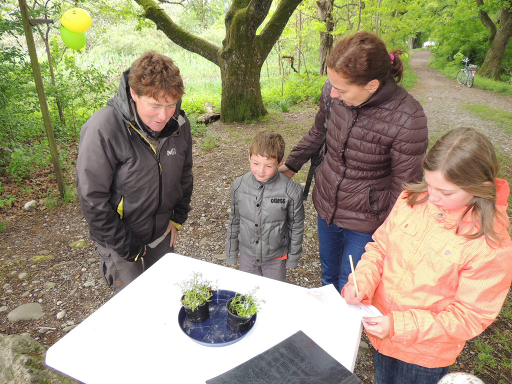 DSCN2794_JPG-1369507897