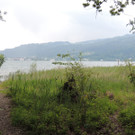 DSCN2783_JPG-1369507877