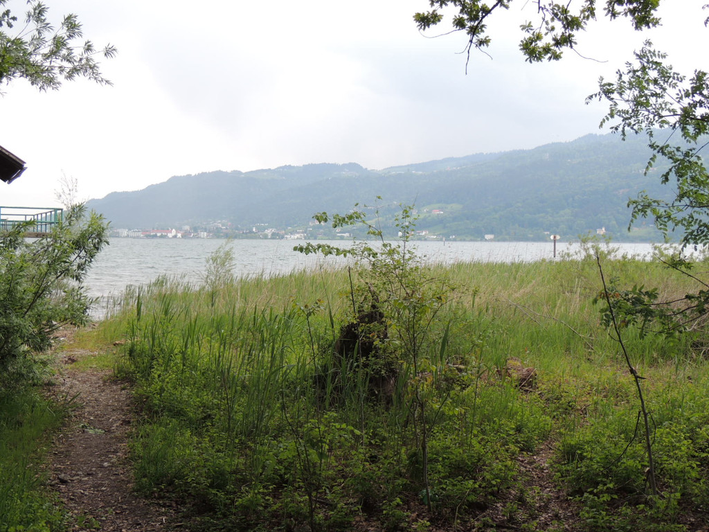 DSCN2783_JPG-1369507877