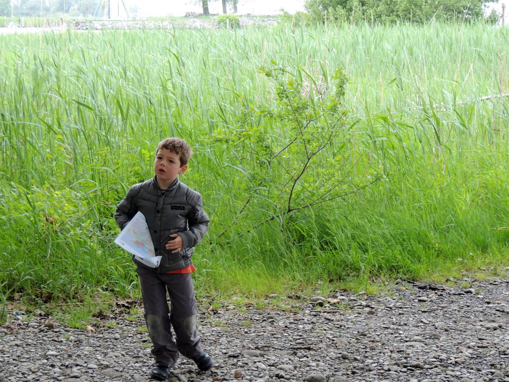 DSCN2787_JPG-1369507889