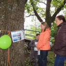 DSCN2790_JPG-1369507893