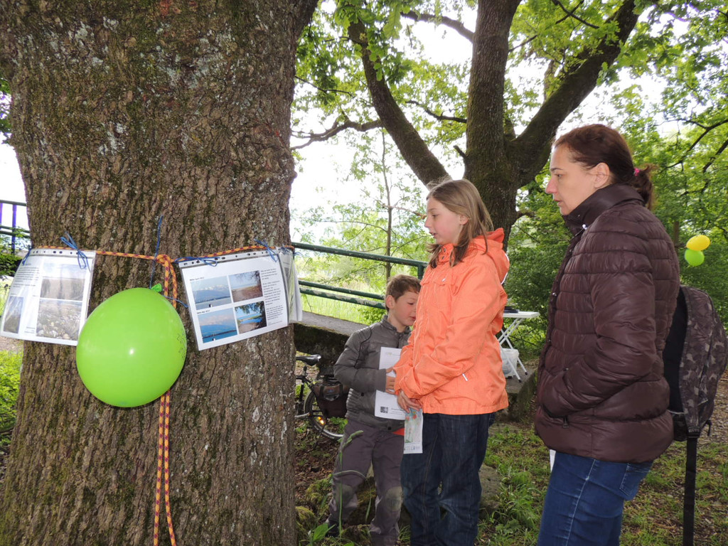 DSCN2790_JPG-1369507893