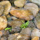 DSCN2802_JPG-1369507901