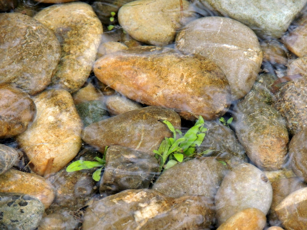 DSCN2802_JPG-1369507901