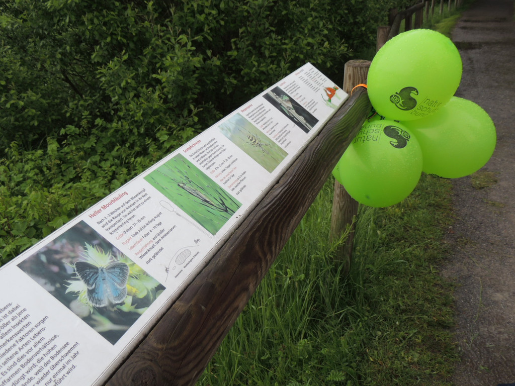 DSCN2826_JPG-1369507910