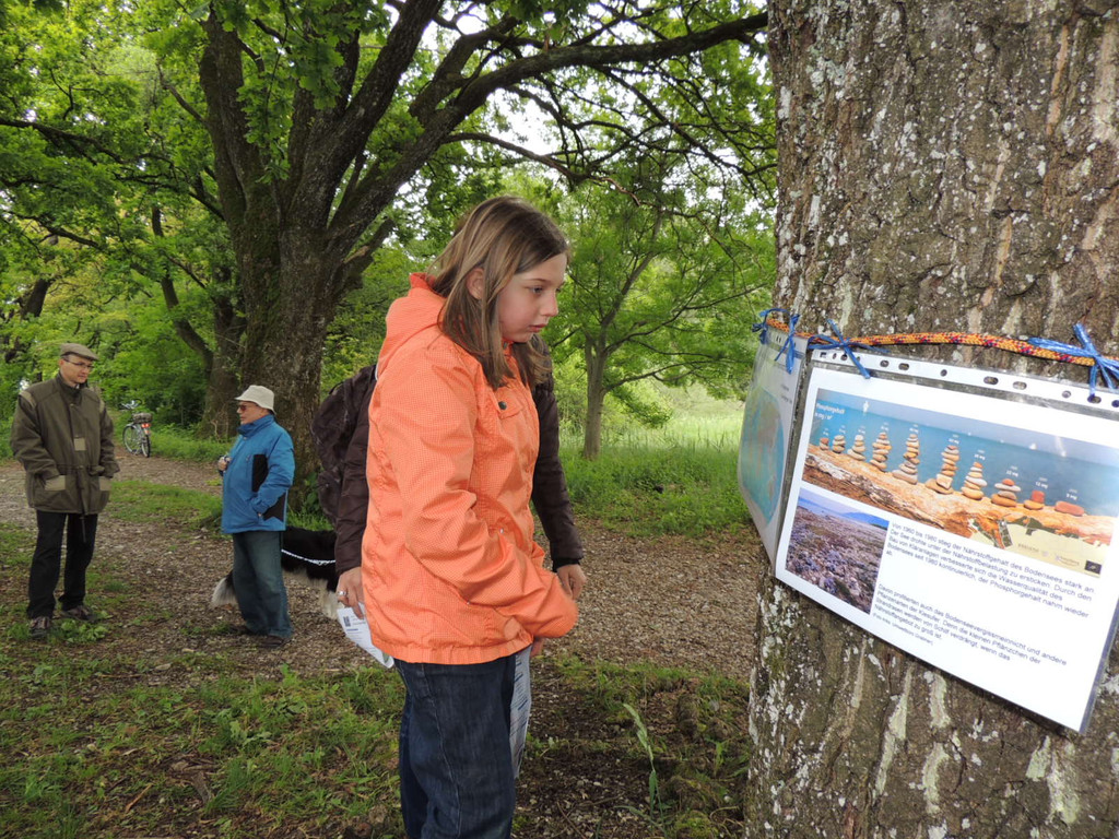 DSCN2786_JPG-1369507885