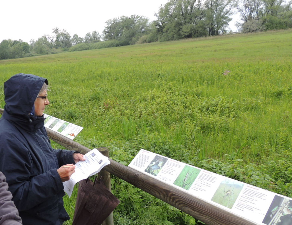 DSCN2838_JPG-1369507916