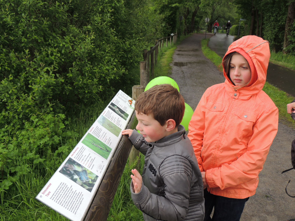 DSCN2824_JPG-1369507906